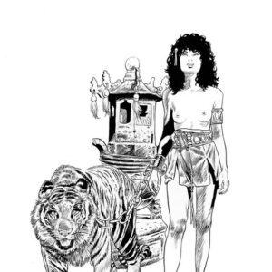 Couverture de l'album en version noir et Blanc "Le Pourpre et l'Orchidée".